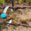 Thumbnail: Navajo Kingman Turquoise Cuff
