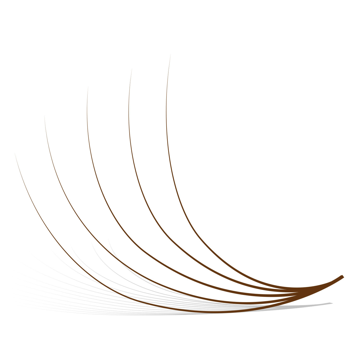 BROWN -  5D PROMADE FAN