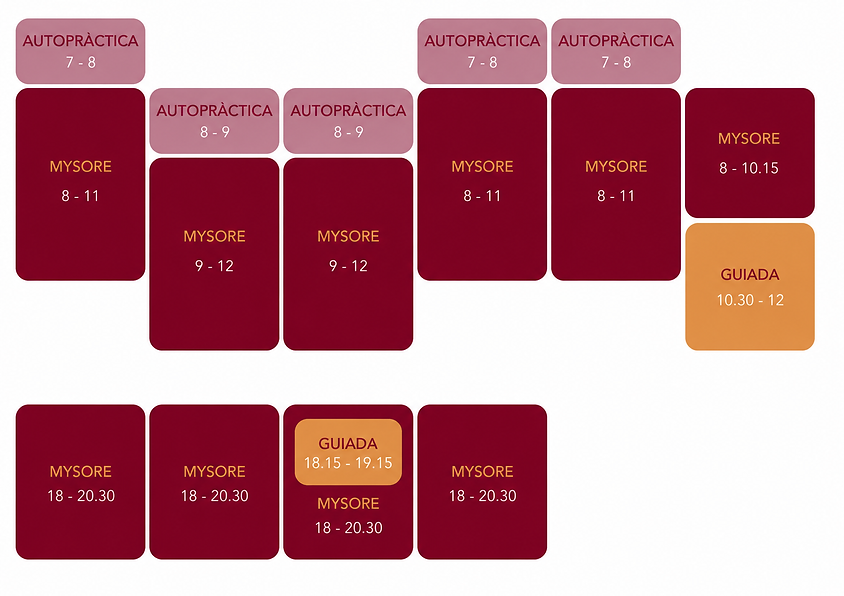 HorariMaig2026Català.png