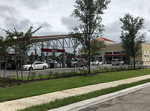 wawa_edited.jpg
