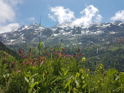Spring comes to the mountains