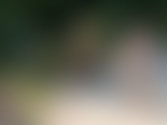 रेंज अधिकारी जोशी ने टीमों को दिया सख्त निर्देश—सूचना मिलते ही तत्काल रिस्पॉन्स सुनिश्चित करें