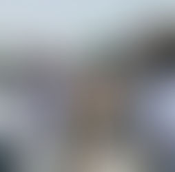 ‘शीर्ष नेतृत्व के अपमान को बर्दाश्त नहीं करेंगे’— ऋषिकेश में भाजपा का विरोध प्रदर्शन