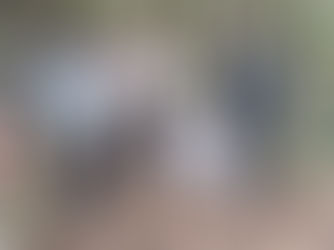 आरक्षित वन क्षेत्र के पास अवैध गतिविधि पर वन विभाग मसूरी का शिकंजा