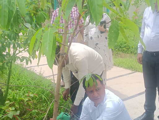 पुराने जौहड़ को मिला नया जीवन, धामी के विजन पर तिवारी ने तैयार कराया जल-सृष्टि पार्क