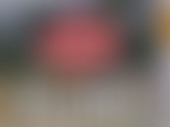 54 करोड़ के ज़मीन घोटाले में सीएम धामी की सीधी कार्रवाई दो IAS और एक PCS अफसर सस्पेंड