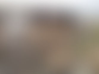 प्रोजेक्ट अमृत से प्रकृति संरक्षण की नई दिशा, मानवता और पर्यावरण का संतुलन