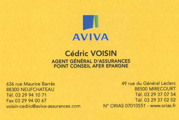 AVIVA.jpg