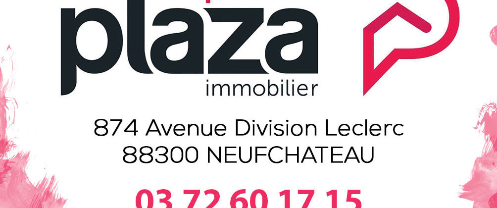 St‚phane Plaza immobilier.jpg