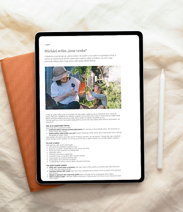 Black and White Minimalist Tablet Mockup Instagram Post (2).png