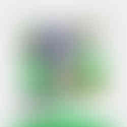 Webdesign - Perennial Power - 2014