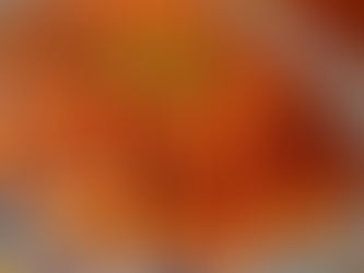 Linguine with Shrimp in Tomato Sauce on hand painted Italian Ceramic Plate