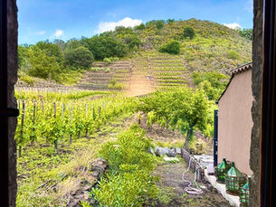 View of I Biondi winery through a wine window