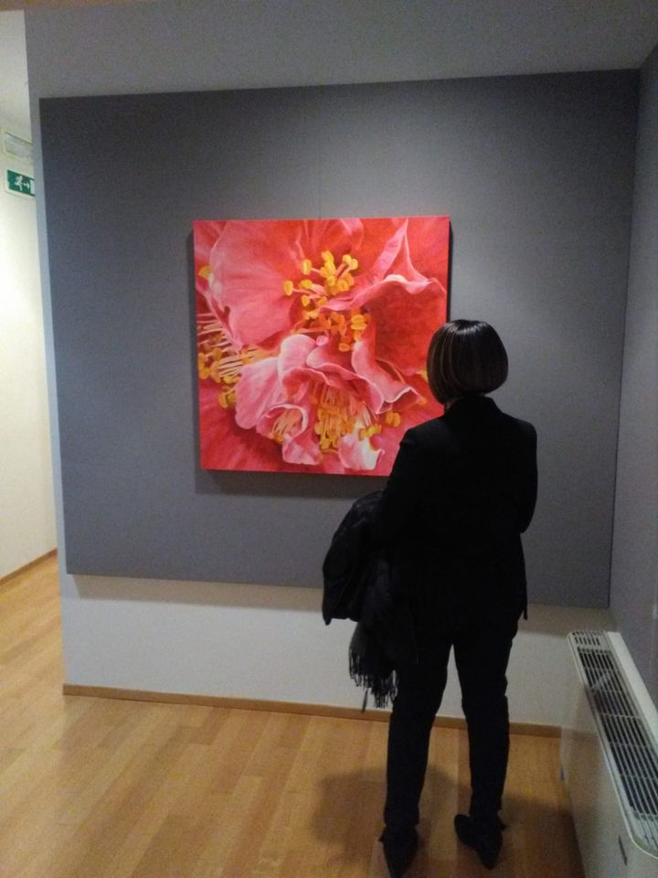 Camellia Painting In Gallery
