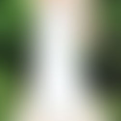 Prefeito José Martinho inaugura ponte de concreto no povoado Candibas 