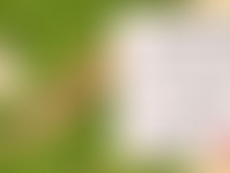 3/9主日礼拝をライブ配信しました