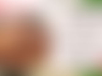 8月3日主日礼拝の録画をYouTubeにアップしました