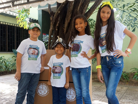 Los niños también tuvieron elecciones en Barranquilla: En el Zoológico hay segunda vuelta