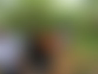 Turistas franceses visitan bosque tropical en el Atlántico