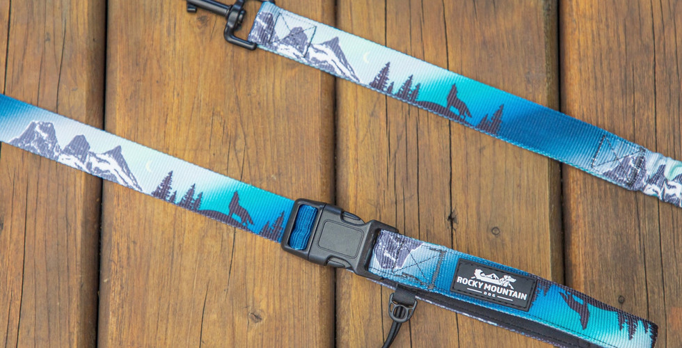 Canmore All Mountain Dog Leash