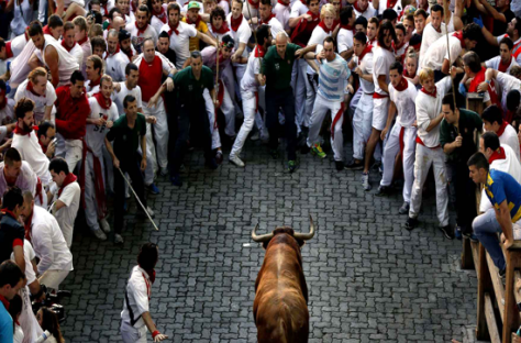 Bullfighting Petition: Help End The Fiesta Tolosa