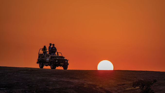 Jeep safari at sunset in the Indian wilderness