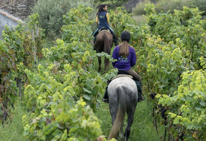 Activities at Monaci delle Terre Nere
