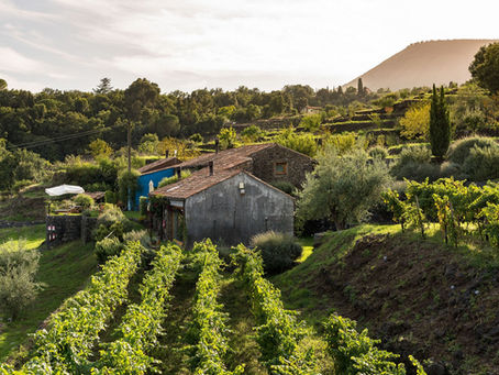 Monaci delle Terre Nere