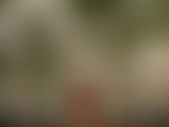 Haussmann Style at The Bowmann Hotel Paris