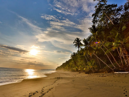 Meticulously Crafted Itineraries with Terranova/Origen Costa Rica