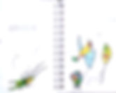 Imagen 01.jpeg