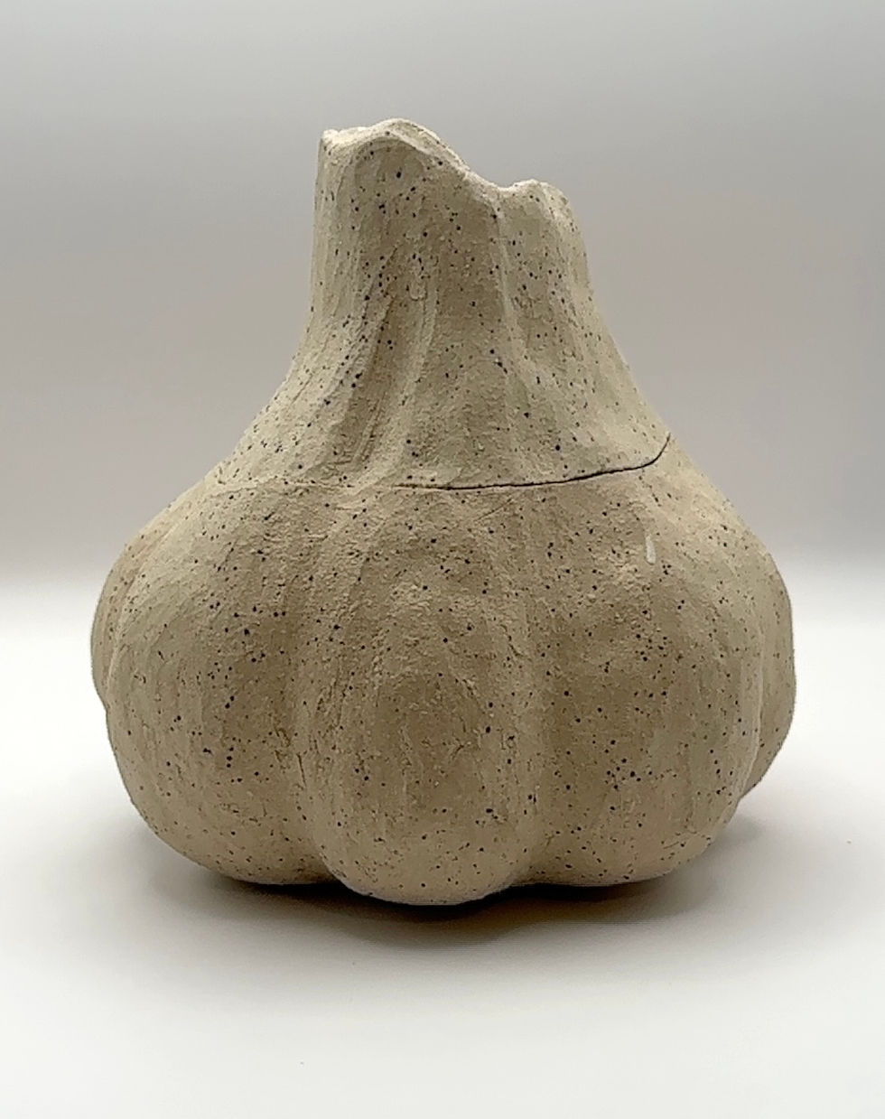 Thumbnail: Garlic rustic storage 