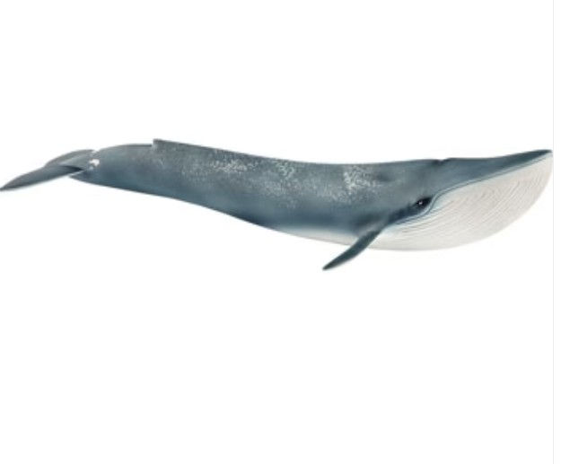 Schleich - Blue Whale