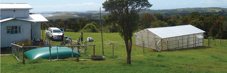 Chiloe 14.jpg