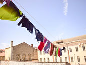 Loosely Talking: Time Changes & Flies