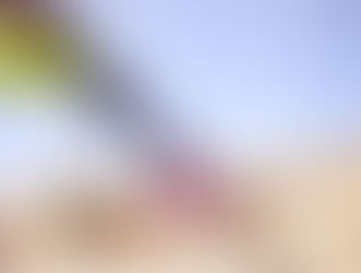 Loosely Talking: Time Changes & Flies