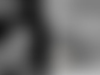 Evento fotográfico serve de alerta a população e aos órgãos públicos.