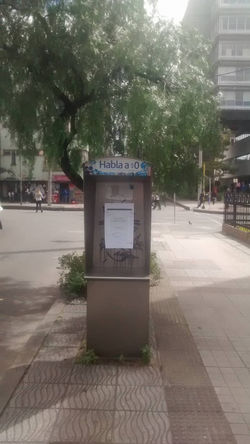 23157671_10213718697144741_567115277_o