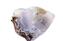 Untitled design (19)_edited.png