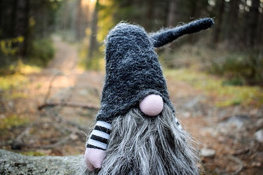 Gnomes