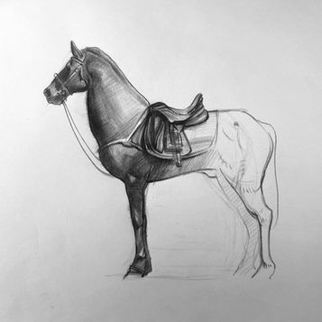 cheval.jpg