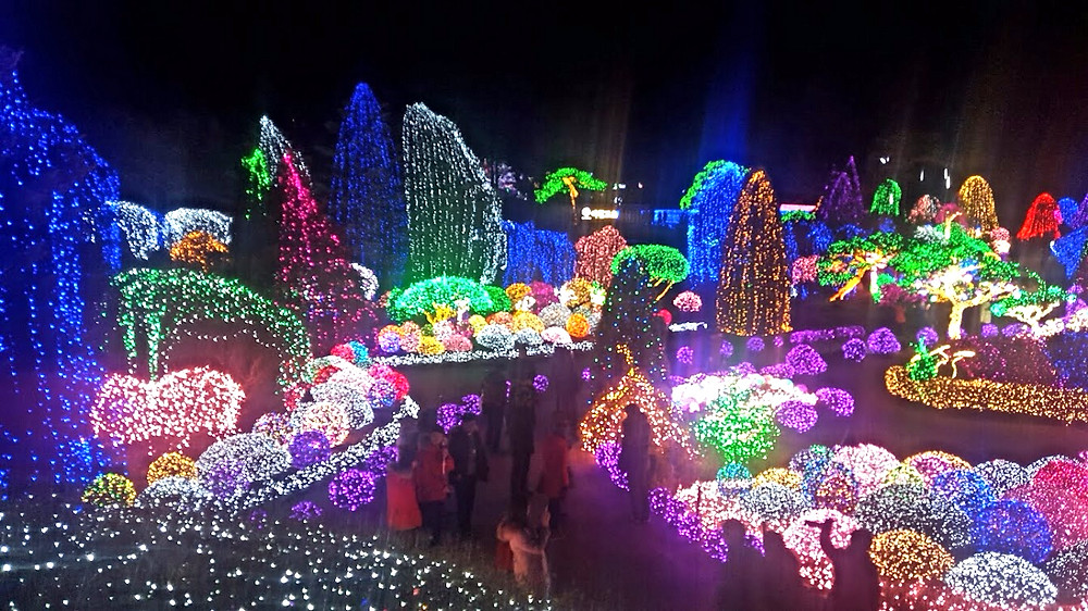Garden of Morning Calm Light Festival