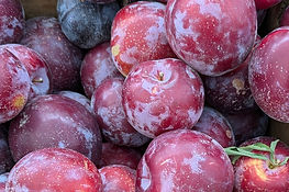 plum-santa-rosa.jpg