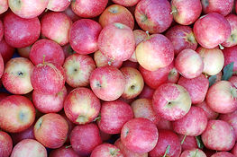 Pink Lady Apples
