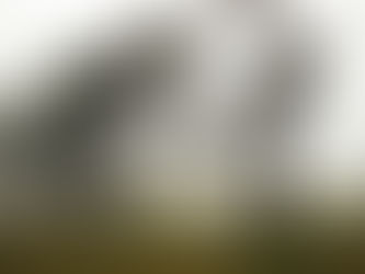 8 Days in Madeira, Portugal - Coast to Coast!