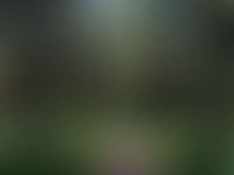 Key Outcomes from COP16 and How Sports Clubs Can Support Biodiversity Locally