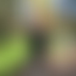 CONTAMOS CON PANELES SOLARES