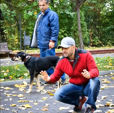 Cătălin Cornea lucrează individual cu un câine și proprietarul lui, într-un exercițiu de atenție și poziționare - website Cătălin Cornea psiholog canin