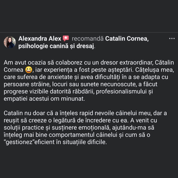 testimonial despre Cătălin Cornea psiholog canin - Alexandra Alex recomandă Catalin Cornea, psihologie canină și dresaj.

Am avut ocazia să colaborez cu un dresor extraordinar, Catalin Cornea 😀, iar experiența a fost peste așteptări. Cățelușa mea, care suferea de anxietate și avea dificultăți în a se adapta cu persoane străine, locuri sau sunete necunoscute, a făcut progrese vizibile datorită răbdării, profesionalismului și empatiei acestui om minunat.

Catalin nu doar că a înțeles rapid nevoile câinelui meu, dar a reușit să creeze o legătură de încredere cu ea. A venit cu soluții practice și susținere emoțională, ajutându-mă să înțeleg mai bine comportamentul câinelui și cum să o “gestionez” eficient în situațiile dificile.