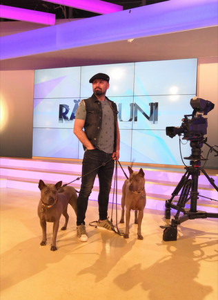 Cătălin în studio TV, alături de doi câini antrenați de el pentru apariții publice - website Cătălin Cornea psiholog canin